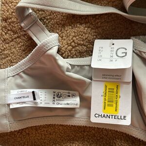 Chantelle stretch lace bra with underwire in a size 36G
